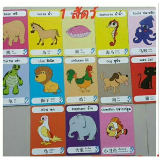 สินค้า การ์ด 3 ภาษาโอวัลติน สอนภาษาจีน อังกฤษ ไทย สอนนับเลฃ สัตว์ สี การ์ดหัดอ่านสำหรับเด็ก แฟรชการ์ด flashcard