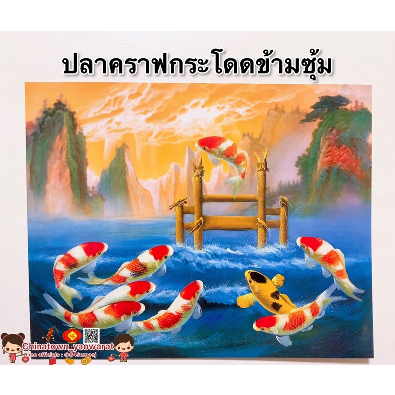 รูปภาพมงคล-ปลาคราฟ-กระโดดข้ามซุ้มมังกร-ปลา9ตัว-เงินทอง-สุขภาพ-ไหลเวียนดี-ขนาดภาพ16x20นิ้ว-40-6x50-8-ซม-ปลาคราฟ