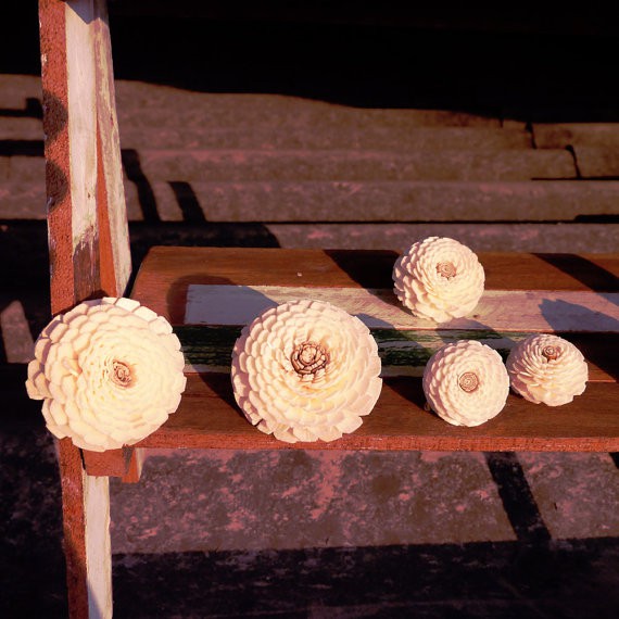 ดอกบานชื่น Zinnia Balsa Wood Sola Diffuser Flowers ขนาด 4 ซม | Shopee ...