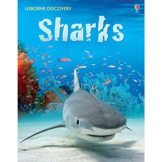 DKTODAY หนังสือ USBORNE DISCOVERY: SHARKS