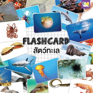 Flashcardคำศัพท์สำหรับเด็ก แฟลชการ์ดสื่อการสอน