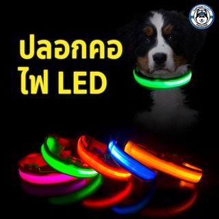 ปลอกคอสุนัขผ้าไนล่อนมีไฟ LED