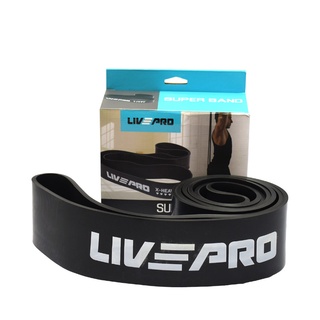 FBT LIVEPRO Power Band พาวเวอร์แบน LP8410  67343-47