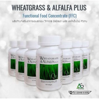 ภาพขนาดย่อของภาพหน้าปกสินค้า(2 กระปุก) Wheatgrass & Alfalfa Plus ผักอัดเม็ด วีทกราสและอัลฟัลฟา แอมสตรองเน็ตเวิร์ค จากร้าน sunshyy บน Shopee ภาพที่ 7