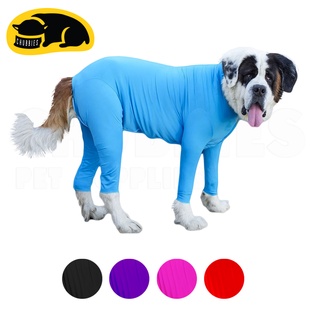 สินค้า 💖พร้อมส่ง💖 C105 ชุดเสื้อกันขนร่วงน้องหมาในบ้าน ชุดสุนัข รุ่นBodySuitมีซิป ชุดกันขนร่วง **ซักก่อนใช้**