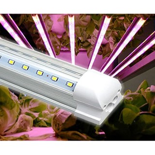 หลอดไฟปลูกต้นไม้  T8 LED GROW LIGHT