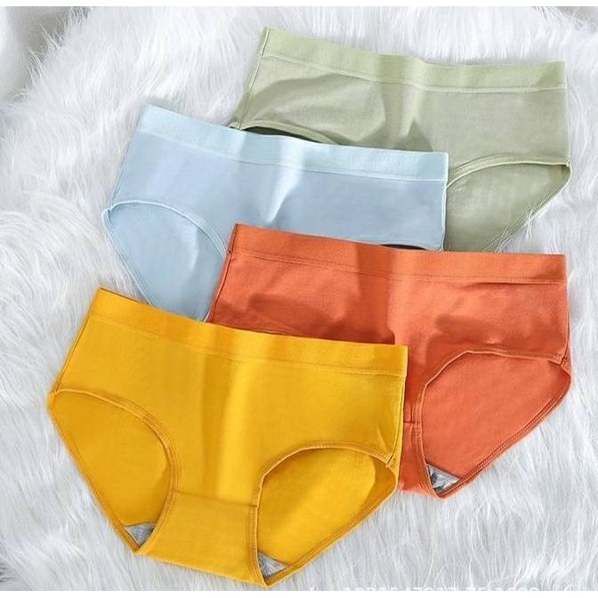ภาพสินค้า𝑩𝒓𝒂𝑩𝒓𝒂𝑩𝒓𝒂 ️  p-034 กางเกงใน สีสดใส ผ้าหนา เอวมีขอบ จากร้าน brabrabra.official บน Shopee ภาพที่ 3