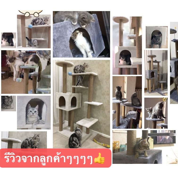 คอนโดแมว-คอนโดแมว-cat-cat-สุดคุ้ม-130-cm-กำมะหยี่นุ่มๆทั้งหลัง-สินค้าพร้อมส่งในไทย