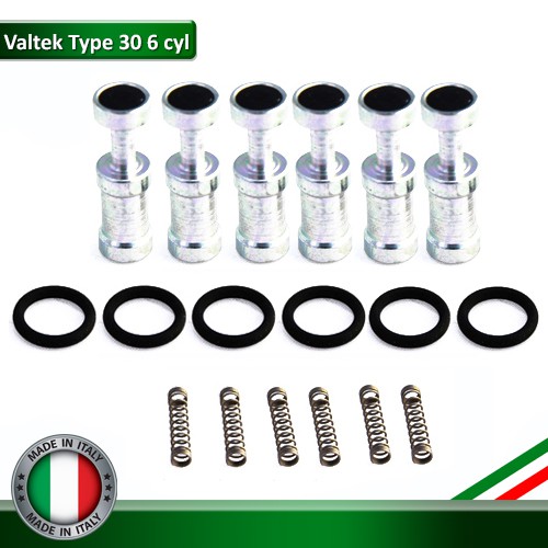 Repair Set Valtek Injector Type 30 (6 pcs) - ชุดซ่อมรางหัวฉีดยี่ห้อ ...
