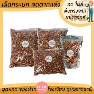 กระบก เม็ดกระบก สดตากแห้ง เกรดพรีเมียม OTOP โขงเจียม อุบลราชธานี บักบัก,หมากบก,มะมื่น (wild almond) photo