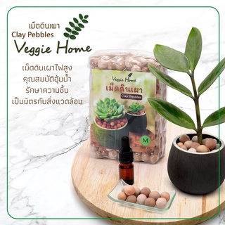 เม็ดดินเผา Clay Pebbles คละสี โรยหน้าดิน ปลูกต้นไม้ ปลูกไม้น้ำ หยดน้ำมันหอมระเหย Veggie Home