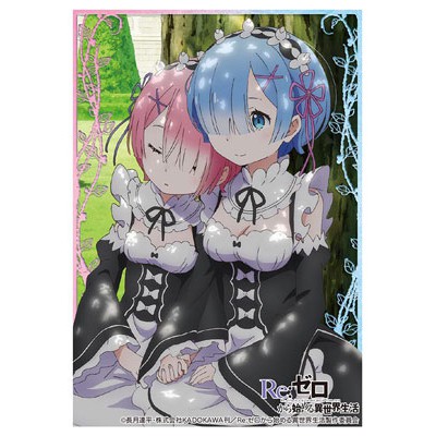 TTW Shop Bushiroad Sleeve Collection High Grade Vol.1143 Re:ZERO -Starting  Life in Another World-"Rem & Ram"part.2 Pack | Shopee Thailand