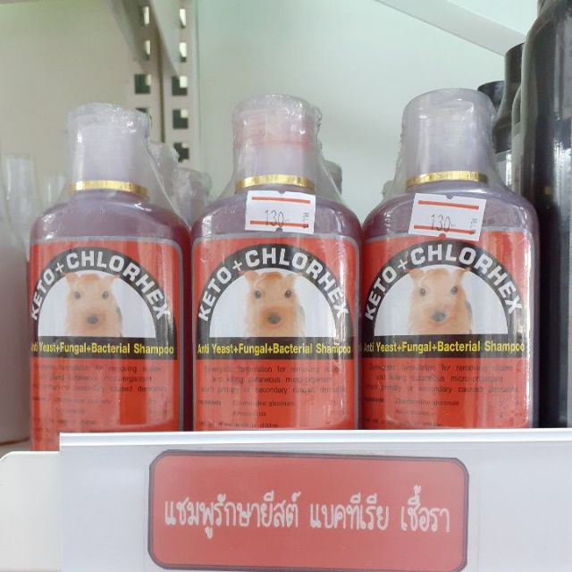 แชมพูรักษา-สัตว์-keto-xhlorhex-รักษายีส-แบคทีเรีย-เชื้อรา-100g-1ขวด