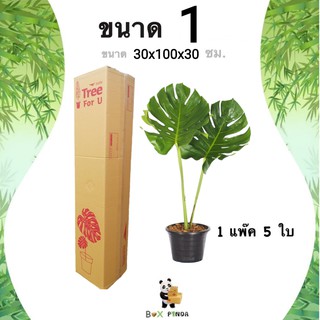 กล่องพัสดุต้นไม้ กล่องต้นไม้ กล่องไปรษณีย์ เบอร์ 1 ( 30 x 100 x 30 ซม. ) แพ๊ค 5 ใบ Boxpanda