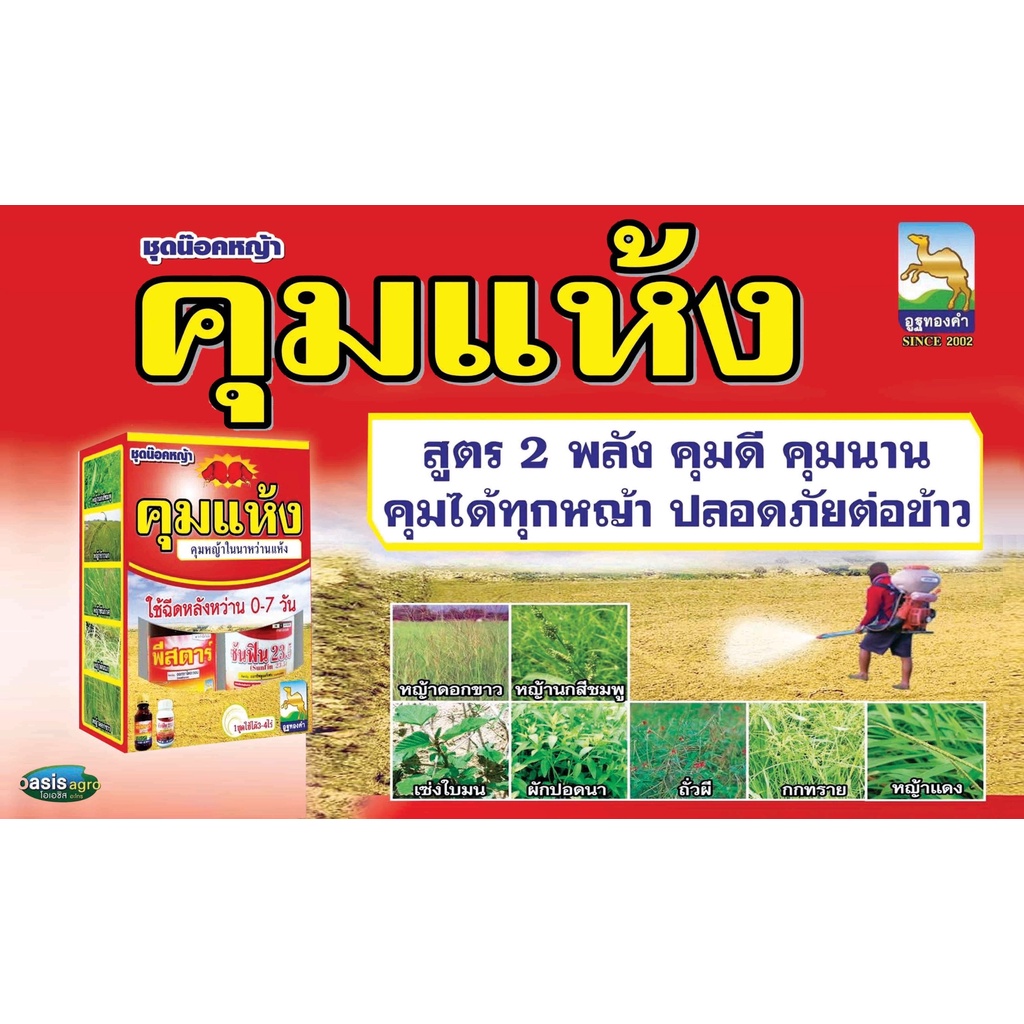 สูตรเด็ด-2-พลัง-ชุดคุมแห้ง-ยาคุมหญ้านาหว่านข้าวแห้ง-คุมหญ้าได้ทุกชนิด-ฆ่าลูกหญ้า-ไร้กลิ่นฉีดง่าย-คุมนาน-5-ไร่-อูฐทองคำ