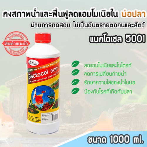 3-ชิ้น-จุลินทรีย์รักษาสภาพน้ำในบ่อปลา-แบคโตเซล-5001-bactocel-5001-รักษาน้ำในบ่อ-น้ำใส-น้ำมีกลิ่นเหม็น-ตู้ปลา-บ่อปลา-บ่อก