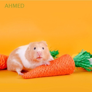 Ahmed ของเล่นทําความสะอาดฟัน รูปแครอท ข้าวโพด แครอท เคี้ยวหญ้า ลูกบอลทอ หนูตะเภา กระต่าย ทนต่อการกัด อุปกรณ์สัตว์เลี้ยง หนูแฮมสเตอร์