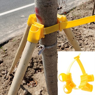 Plant Support Frame Big Tree Growing Support Stakes Tripod Windproof Fixing Set