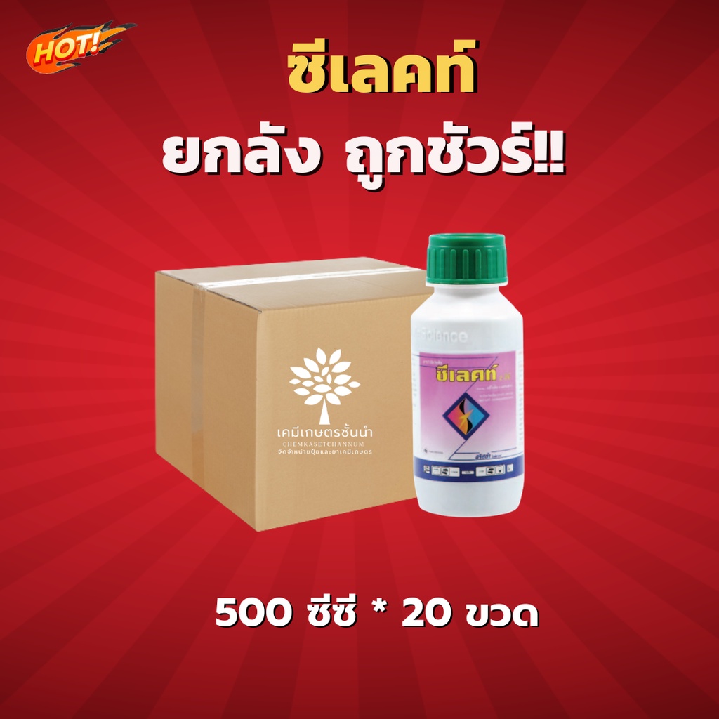 ซีเลคท์-24-อีซี-ยกลัง-ขนาด-500-ซีซี-20-ขวด-ชิ้นละ-360-บาท