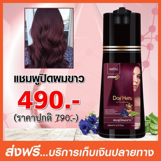 สินค้า DayHerb  แชมพู ปิดผมขาว สมุนไพร ปิดหงอก ลดหงอก ใน 5 นาที