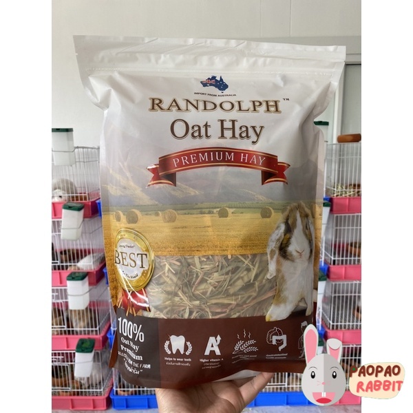 Oat Hay A Great Source Of Fiber And Protein Small Pet