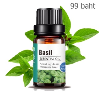 Aliztar 100% Pure Basil Essential Oil 10 ml น้ำมันหอมระเหยโหระพาแท้ สำหรับอโรมาเทอราพี เตาอโรมา เครื่องพ่นไอน้ำ ผสมน้...