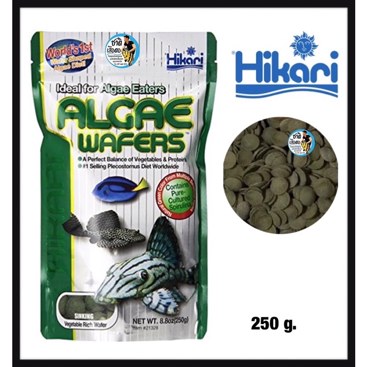 hikari-algae-wafer-อาหารปลา-สำหรับปลากินพืช-กินตะไคร่น้ำ-ปลาแพะ-ปลาหมู-ชนิดแผ่นจมน้ำ