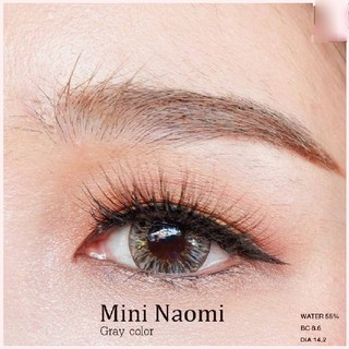 Mini Naomi Gray (2) มินิ สีเทา เทา Kitty Kawaii ค่าอมน้ำสูง Contact Lens Bigeyes คอนแทคเลนส์ ค่าสายตา แฟชั่น ใส่สบาย