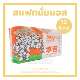 สแฟกนั่มมอส Spagmoss 12 ลิตร สแฟกนั่มมอสนิวซีแลนด์  วัสดุปลูก วัสดุชำรากปลูกกล้วยไม้ปลูกสวนขวด