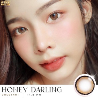 ✨ Honey Darling Chestnut brown(Wink lens) ขนาดมินิ Mini  ☀️กรองแสง uv (บิ๊กอาย คอนแทคเลนส์ Bigeye)