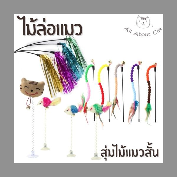 ภาพสินค้าของเล่นแมว รวมไม้แมว แบบน่ารัก จากร้าน ttch.mjp บน Shopee ภาพที่ 5