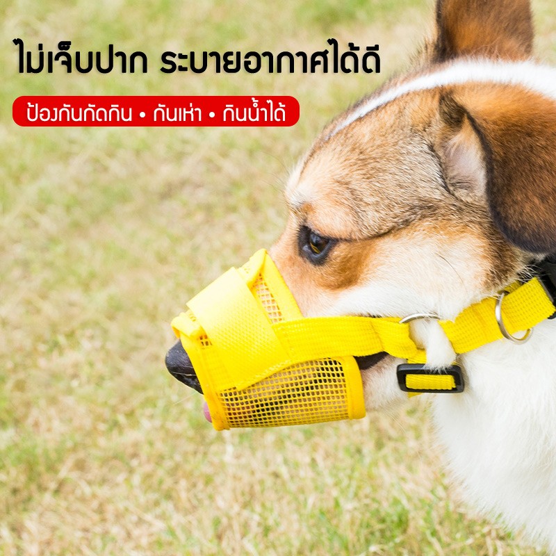 ภาพหน้าปกสินค้าตะกร้อครอบปากสุนัข ที่ครอบปากสุนัข น้องหมาดื่มน้ำได้ ป้องกันการกัด เห่า สำหรับสุนัขพันธุ์เล็ก ถึง พันธุ์ใหญ่