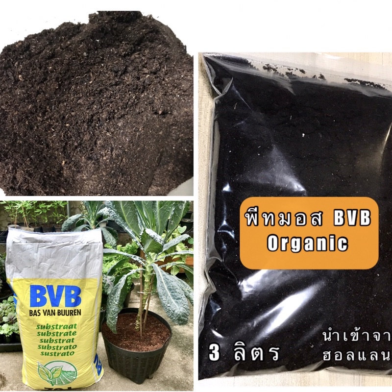 พีทมอส-organic-bvb-อัตราการงอกสูงที่สุด-นำเข้าจากประเทศฮอลแลนด์