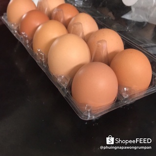 ภาพหน้าปกสินค้าไข่สดๆไข่ออแกนิก(30ฟอง)เบอร์3(แผงละ179บาท)ทานดิบได้ไม่คาวห่อกันกระแทกอย่างดี ที่เกี่ยวข้อง