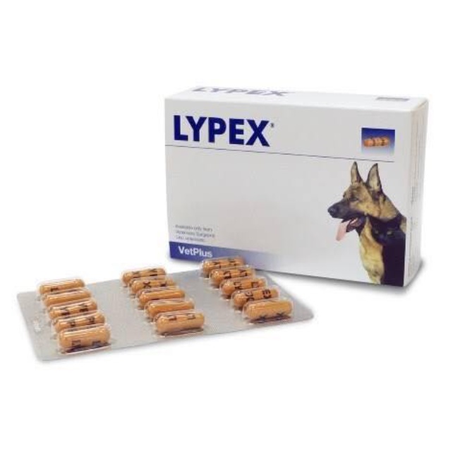 แผงละ-15-เม็ด-lypex-สำหรับสุนัขแมวชนิดเม็ดแคปซูล-สีน้ำตาล-เหมาะสำหรับอายุ-3-เดือนขึ้นไป