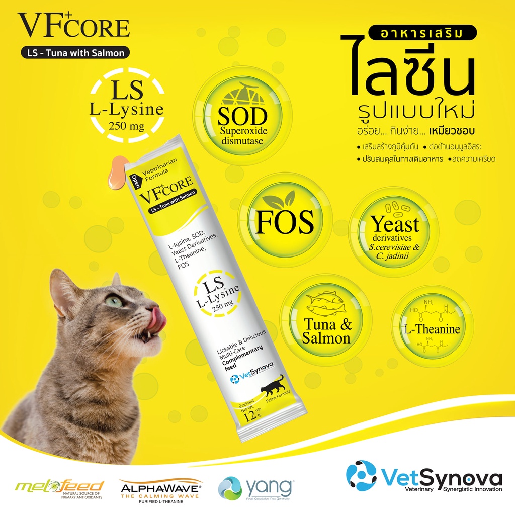 vfcore-ขนมแมวเลียแบบซอง-อาหารเสริมแมว-l-lysine-ไลซีน-เสริมภูมิ-rb-บำรุงเลือด-jc-บำรุงข้อต่อ-feline-vital-kidney-care