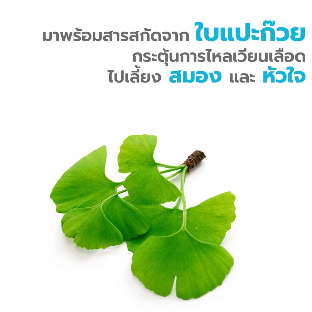 ภาพสินค้าClover Plus Ginkgo CoQ-10 จิงโกะ โคคิวเท็น สารสกัดจาก ใบแปะก๊วย บำรุงหัวใจและสมอง 2กระปุก แถม Clover Plus 19 มัลติวิต จากร้าน healthy.mart บน Shopee ภาพที่ 5