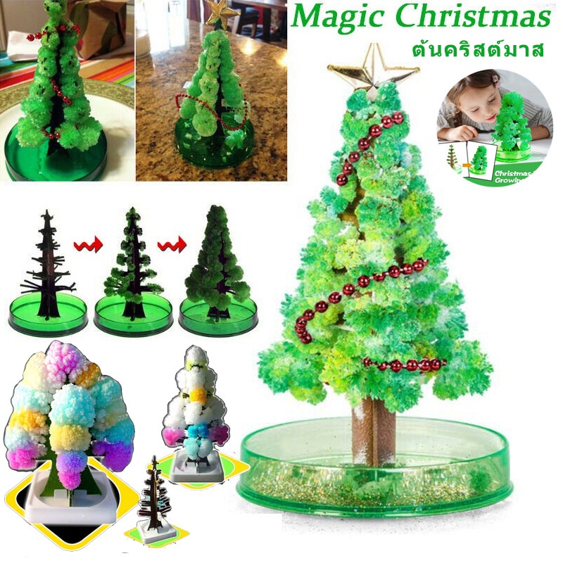 cod-พร้อมส่ง-ต้นคริสต์มาส-ต้นไม้วิทยาศาสตร์-magic-growing-christmas-tree-ตกแต่งคริสต์มาส