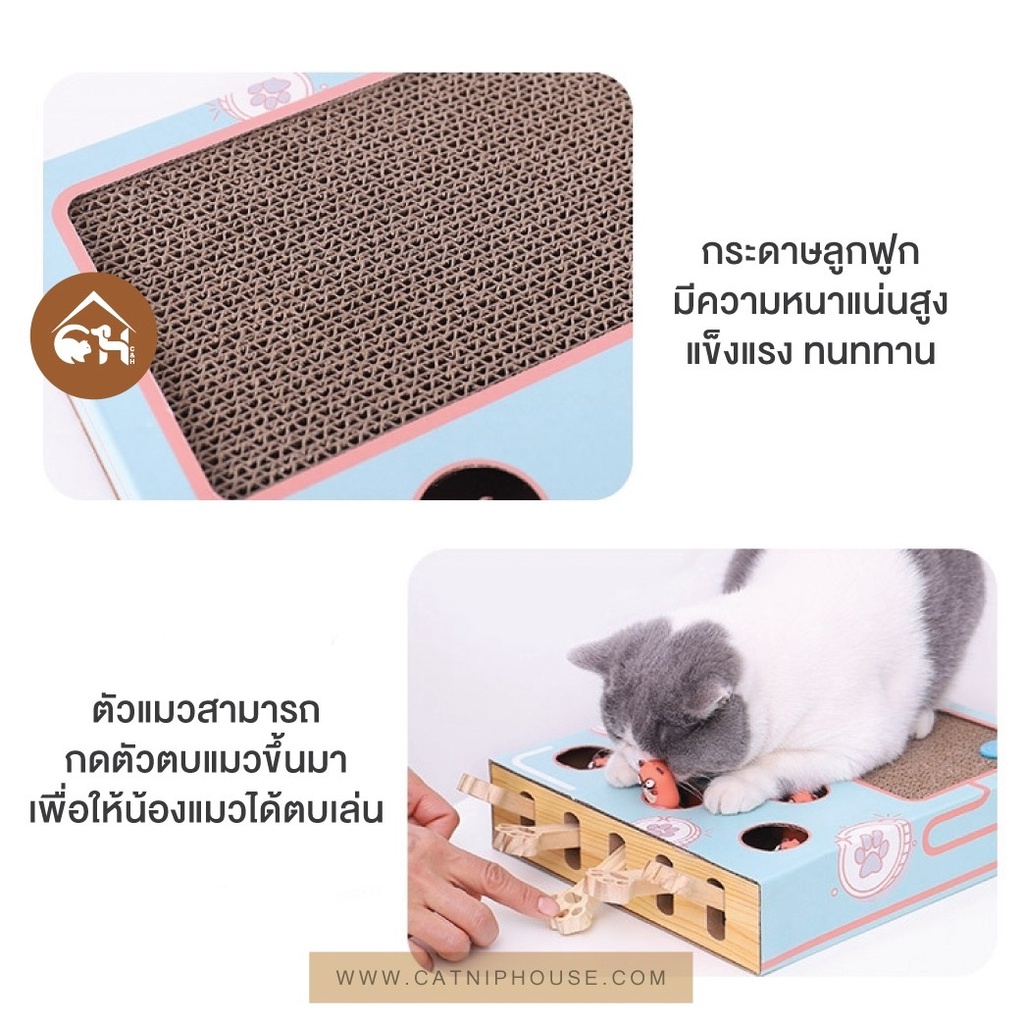 ภาพสินค้าพร้อมส่ง MIAOFAIRY กล่องที่ลับเล็บแมว พร้อมตัวตบแมว กล่องที่ลับเล็บแมว พร้อมกระดิ่ง ของเล่นแมว จากร้าน catniphouseshop บน Shopee ภาพที่ 2