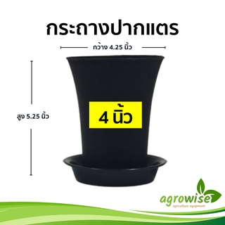 กระถางไม้กราฟ กระถางต้นไม้ กระถางใส กระถางดอกไม้ 4 นิ้ว พร้อมจานรอง จัดส่งรวดเร็ว
