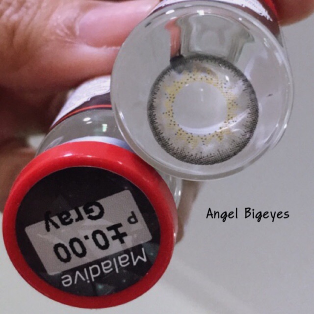 maladive-corona-damier-amiria-gray-ทรีโทน-สีเทา-สายฝอ-เกาหลี-contact-lens-คอนแทคเลนส์-บิ๊กอายส์-bigeyes-บิ๊กอาย