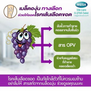 ภาพขนาดย่อของภาพหน้าปกสินค้าMega We Care Grape Seed Extract HS เมก้า วีแคร์ เกรปซีด เอ็กซ์แทรกท์ เอชเอส สารสกัดจากเมล็ดองุ่น เอชเอส 150 มก. จากร้าน medicalsupport บน Shopee ภาพที่ 3