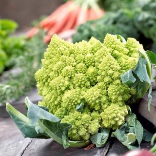 romanesco broccoli บล็อกโคลี่เจย์ดีย์