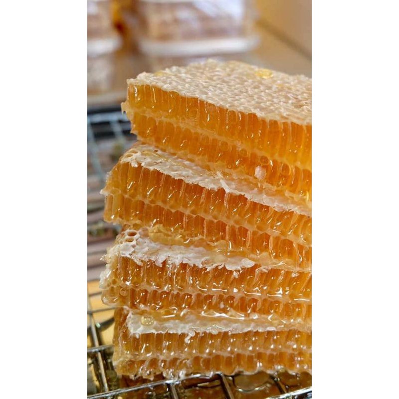 ภาพหน้าปกสินค้ารังผึ้ง Sizeใหญ่ 420กรัม รวงผึ้ง Honeycomb ออแกนิค แท้100% รังผึ้งสด รังผึ้งแท้ รวงผึ้งแท้ รวงผึ้งสด จากร้าน lovehoneybee8888 บน Shopee