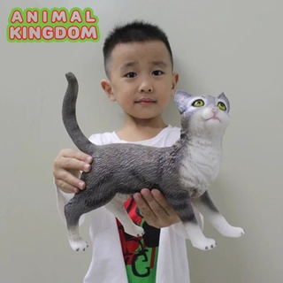 Animal Kingdom - โมเดลสัตว์ แมว เทา ขนาด 26.50 CM แบบนิ่ม (จากหาดใหญ่)