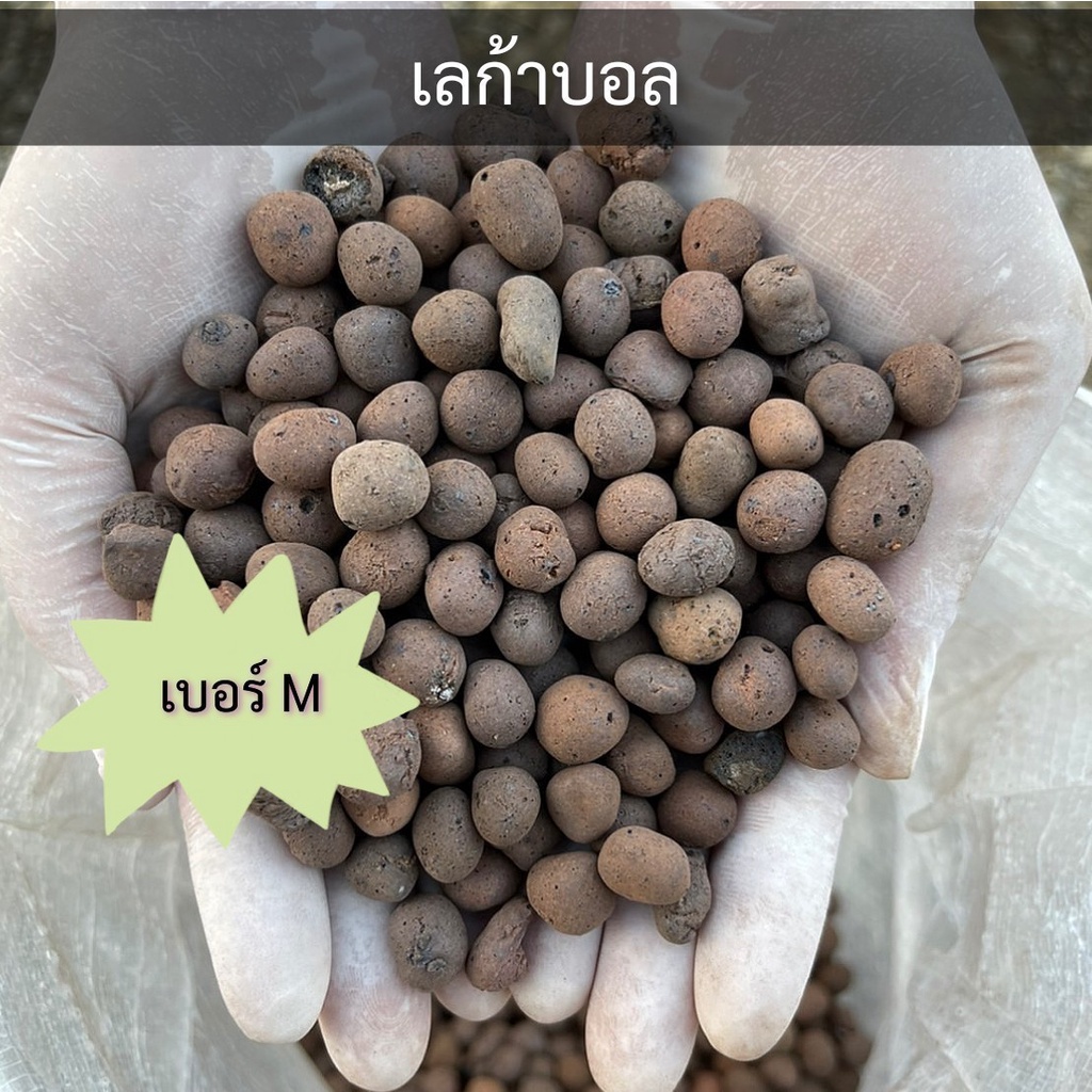 เลก้าบอล-ดินเผามวลเบา-ส่งฟรี-leca-ball-วัสดุปลูกไม้ใบ-ไม้ด่าง-ไม้ฟอกอากาศ-ใช้รองก้นกระถาง-ผสมดินปลูก-โรยหน้ากระถาง