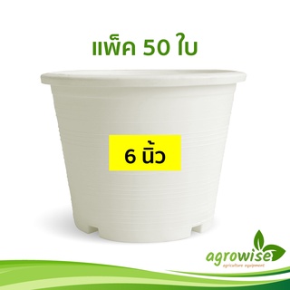 กระถางพลาสติก
 กระทางต้นไม้
 กะถางต้นไม้
 กระถางขาว สีขาว 6 นิ้ว 50 ใบ