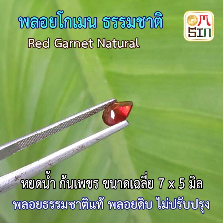 a122-7-x-5-มิล-1-เม็ด-พลอย-โกเมน-สีแดง-garnet-หยดน้ำ-ธรรมชาติ-พลอยแท้100