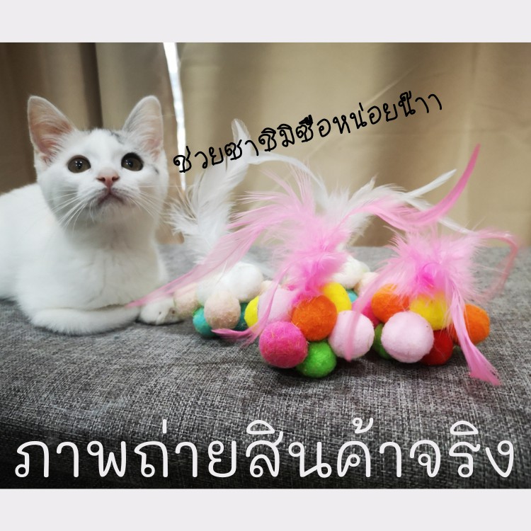 ของเล่นแมว-cat-toy-บอล-บอลปอมปอม-บอลกระดิ่ง-บอลขนนก-ขนนกฟู-ขนนกหางยาว-ของเล่นแมวราคาส่ง