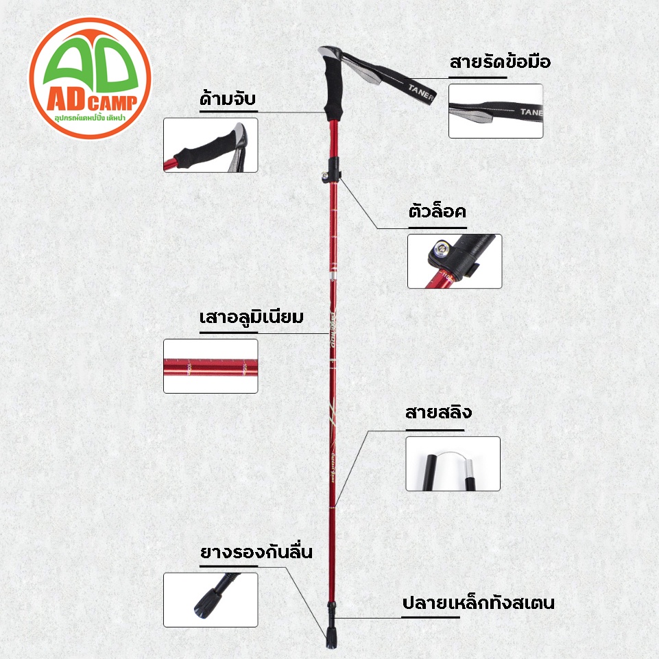 trekking-pole-ไม้โพล-เดินป่า-วิ่งเทล-ไม้เท้าเดินป่า-อลูมิเนียม-น้ำหนักเบา-แข็งแรง-พับเก็บได้-ราคาต่อตัว